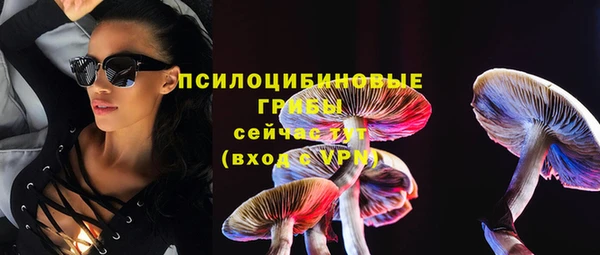 амф Верхний Тагил