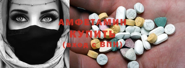 шишки Верея