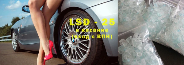 шишки Верея