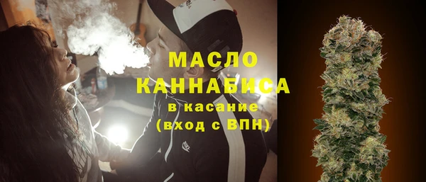 амф Верхний Тагил