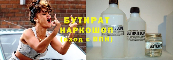шишки Верея