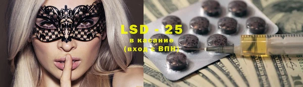 шишки Верея