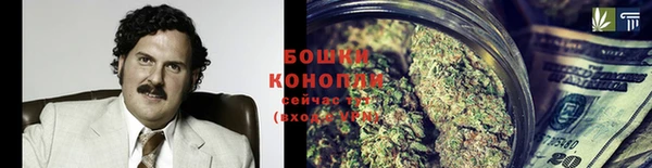 шишки Верея