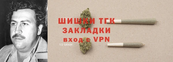 амф Верхний Тагил
