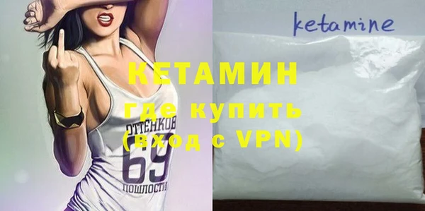 амф Верхний Тагил