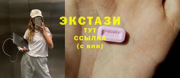 амф Верхний Тагил