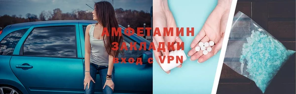 шишки Верея