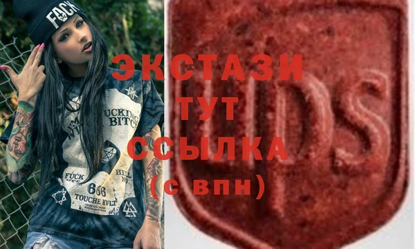 шишки Верея