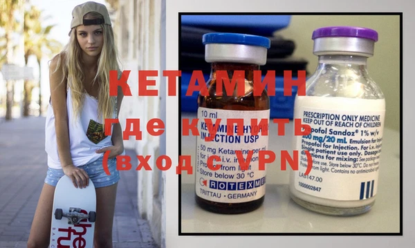 шишки Верея