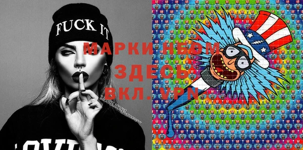 шишки Верея