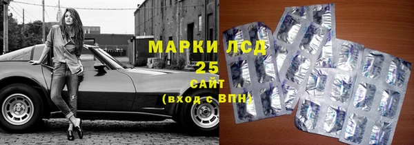 амф Верхний Тагил